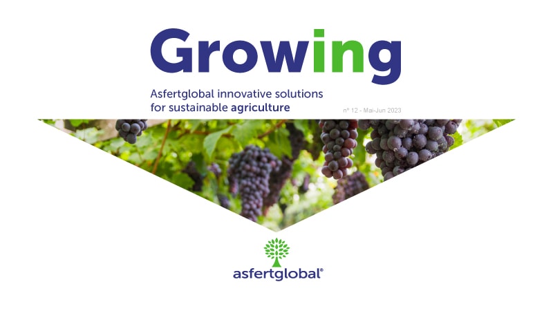 Growing by Asfertglobal