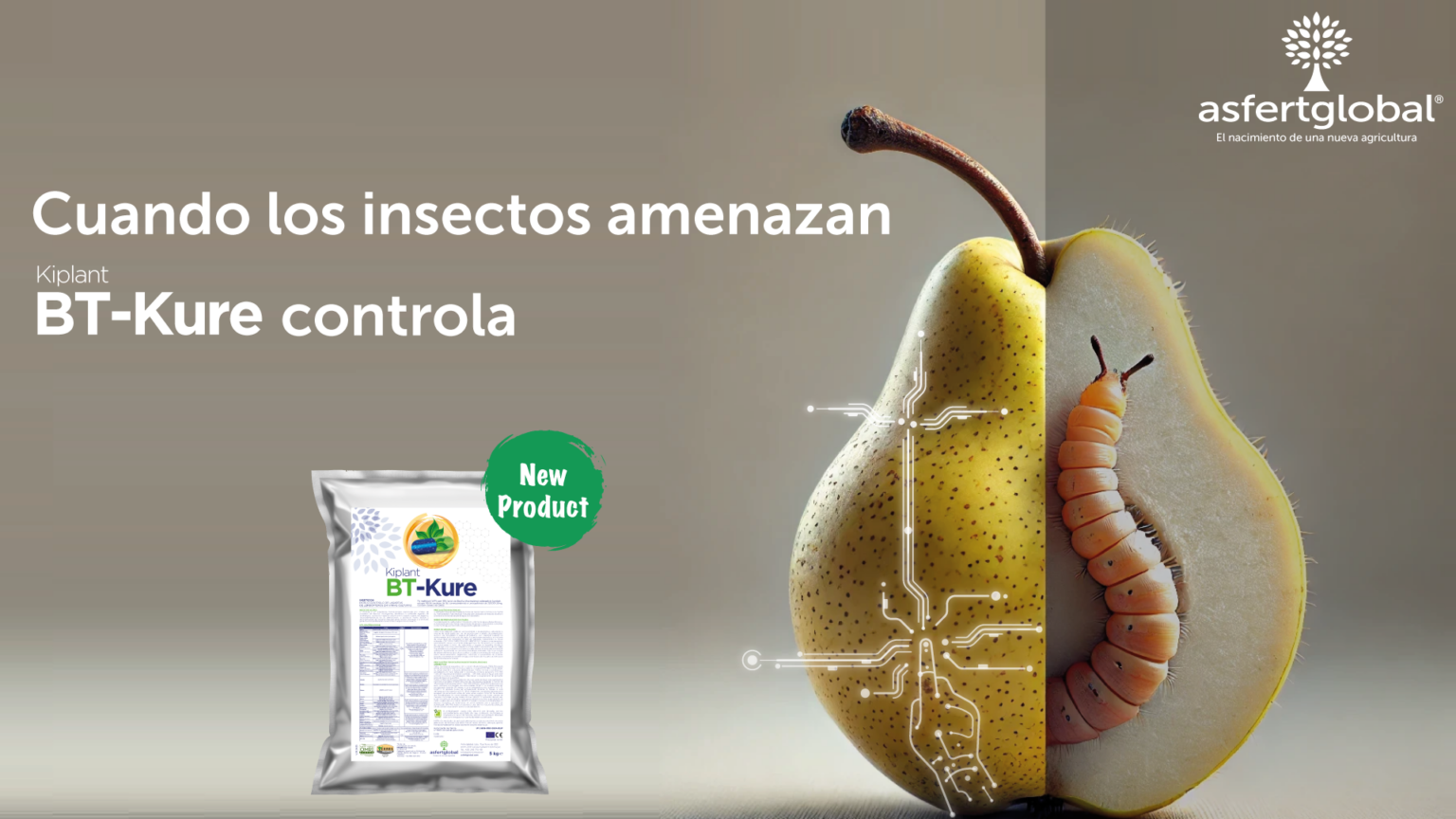 BT-Kure site es asfertglobal