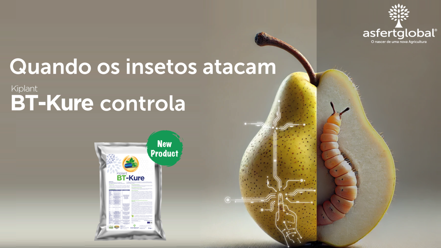 BT-Kure site pt asfertglobal